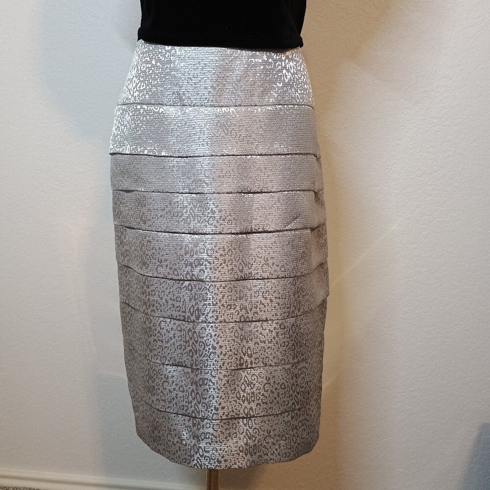 Metallic Silver Layered Skirt Signature by Larry Levine size 12P Petite